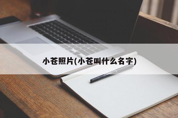 小苍照片(小苍叫什么名字)