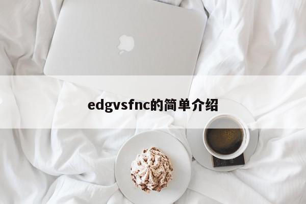 edgvsfnc的简单介绍