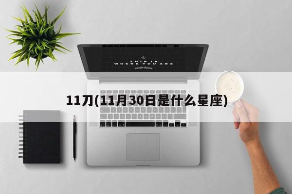 11刀(11月30日是什么星座)