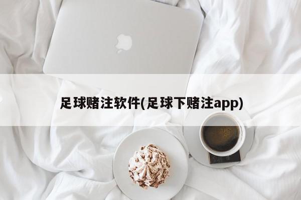 足球赌注软件(足球下赌注app)