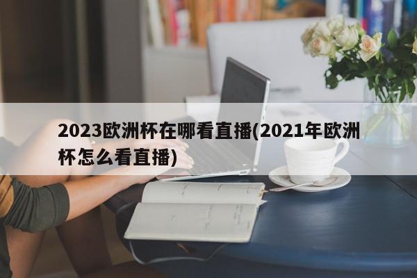 2023欧洲杯在哪看直播(2021年欧洲杯怎么看直播)