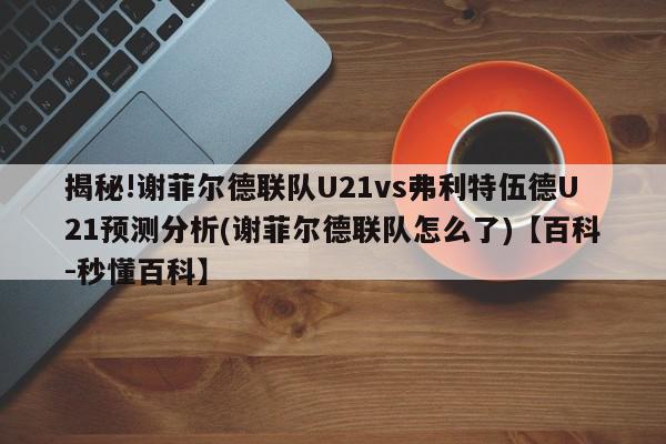 揭秘!谢菲尔德联队U21vs弗利特伍德U21预测分析(谢菲尔德联队怎么了)【百科-秒懂百科】